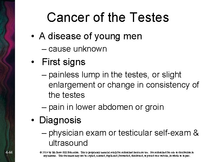 Cancer of the Testes • A disease of young men – cause unknown •