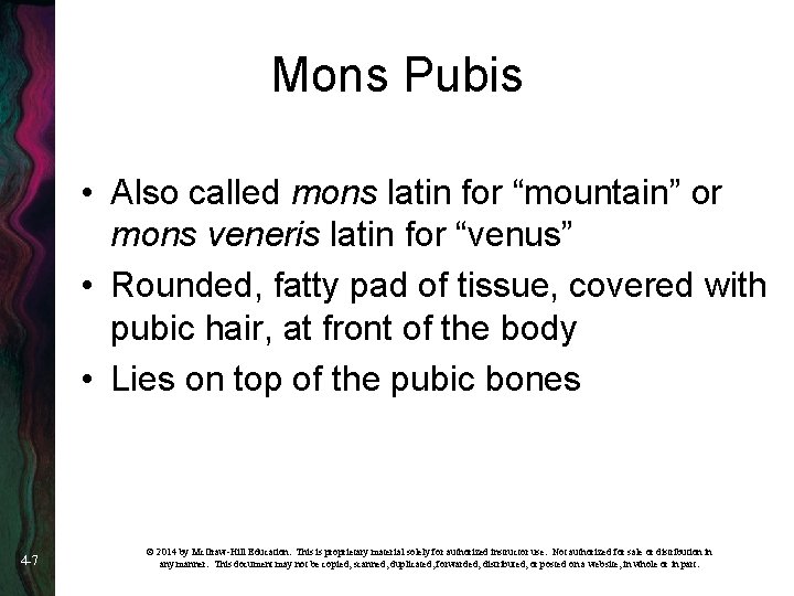 Mons Pubis • Also called mons latin for “mountain” or mons veneris latin for