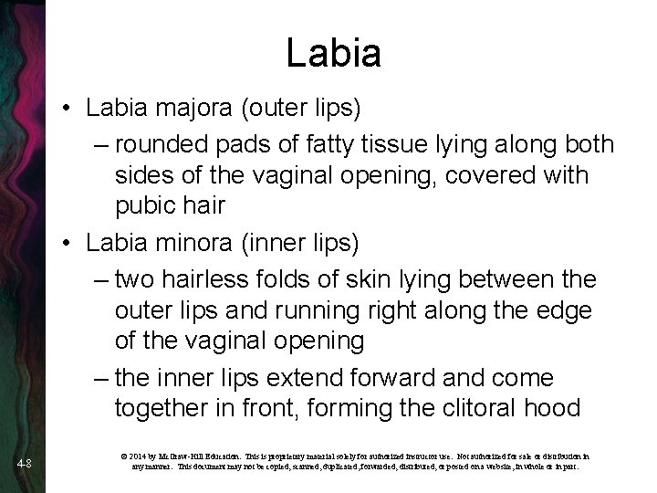 Chapter 4 Sexual Anatomy 2014 by Mc GrawHill