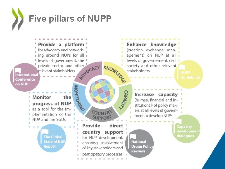 Five pillars of NUPP 