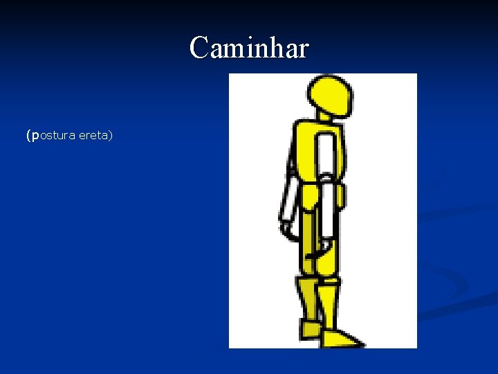 Caminhar (postura ereta) 