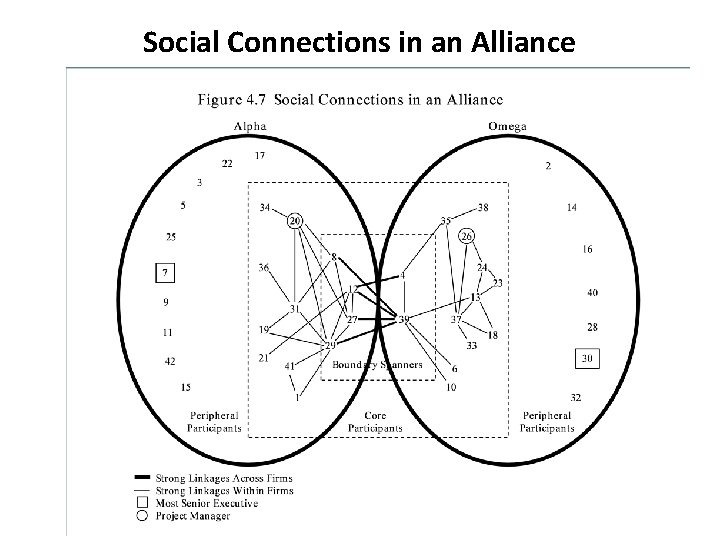 Social Connections in an Alliance 