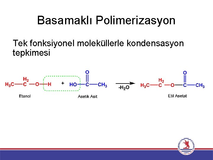 Basamaklı Polimerizasyon Tek fonksiyonel moleküllerle kondensasyon tepkimesi 