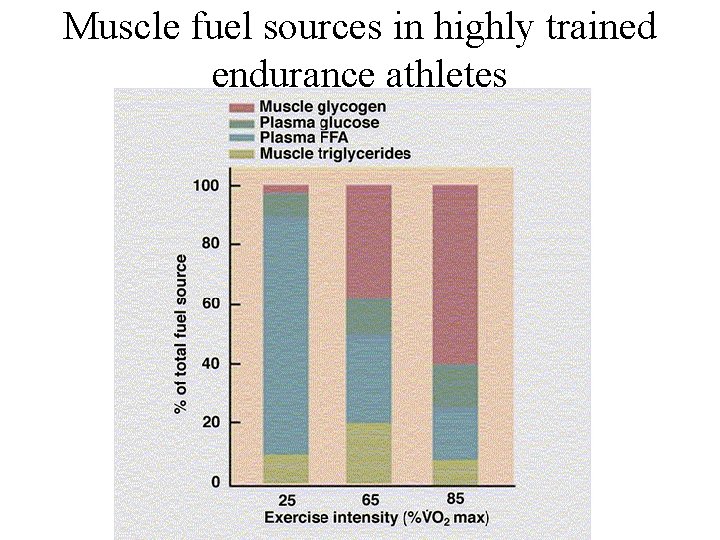 Muscle fuel sources in highly trained endurance athletes 