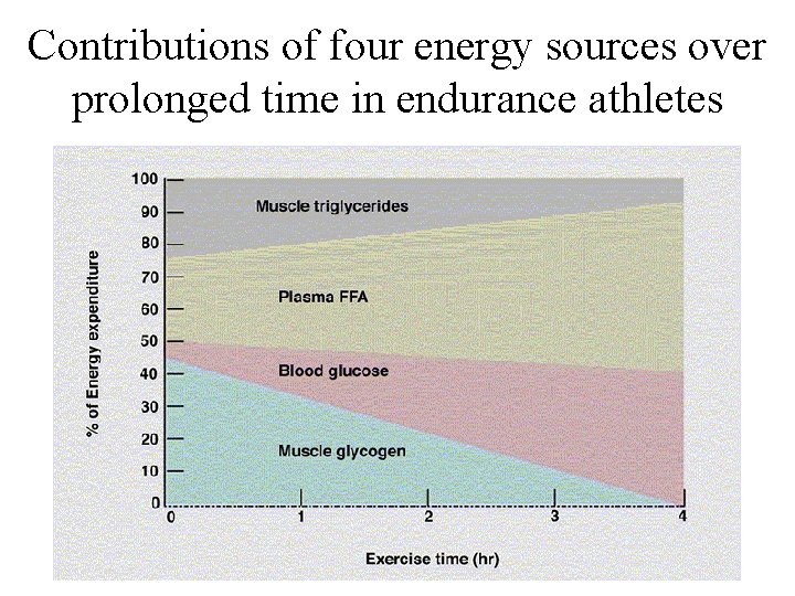 Contributions of four energy sources over prolonged time in endurance athletes 