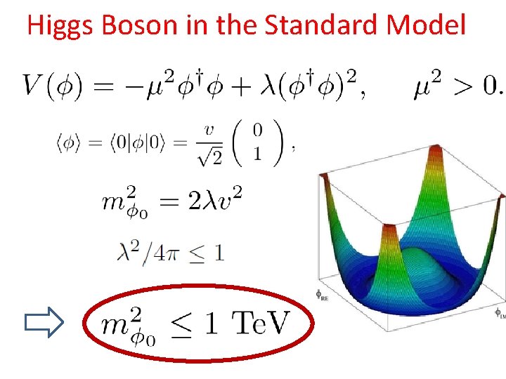 Higgs Boson in the Standard Model 