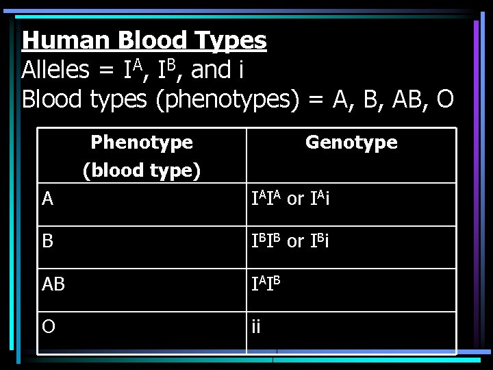 Human Blood Types Alleles = IA, IB, and i Blood types (phenotypes) = A,