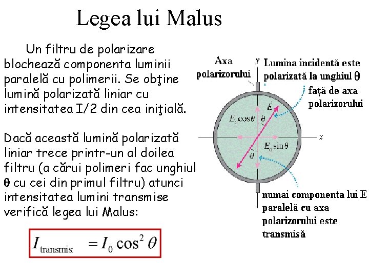 Legea lui Malus Un filtru de polarizare blochează componenta luminii paralelă cu polimerii. Se