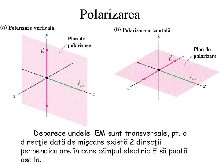 Polarizarea Deoarece undele EM sunt transversale, pt. o direcţie dată de mişcare există 2