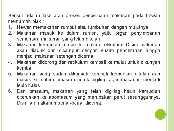 Berikut adalah fase atau proses pencernaan makanan pada hewan memamah biak : 1. Hewan