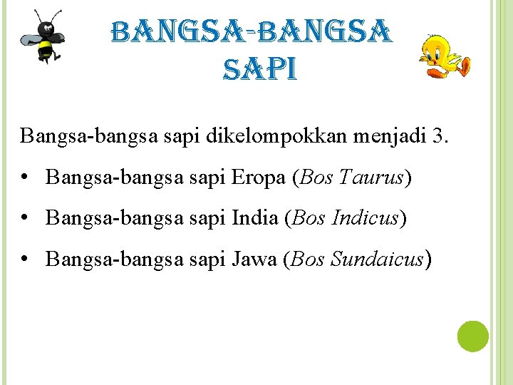 bangsa-bangsa sapi Bangsa-bangsa sapi dikelompokkan menjadi 3. • Bangsa-bangsa sapi Eropa (Bos Taurus) •