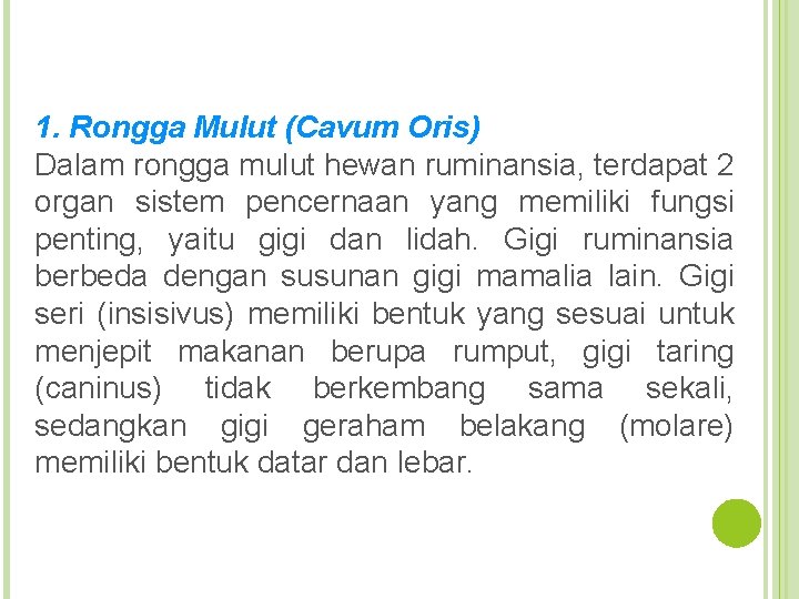 1. Rongga Mulut (Cavum Oris) Dalam rongga mulut hewan ruminansia, terdapat 2 organ sistem