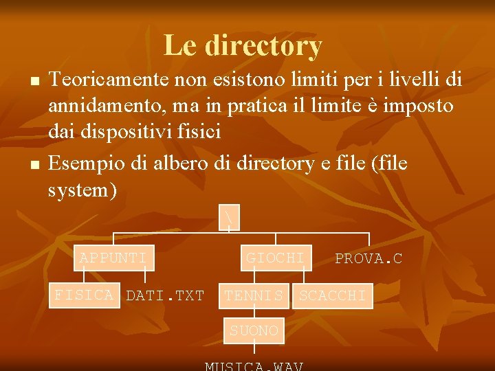 Le directory n n Teoricamente non esistono limiti per i livelli di annidamento, ma