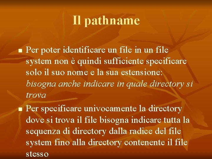 Il pathname n n Per poter identificare un file in un file system non