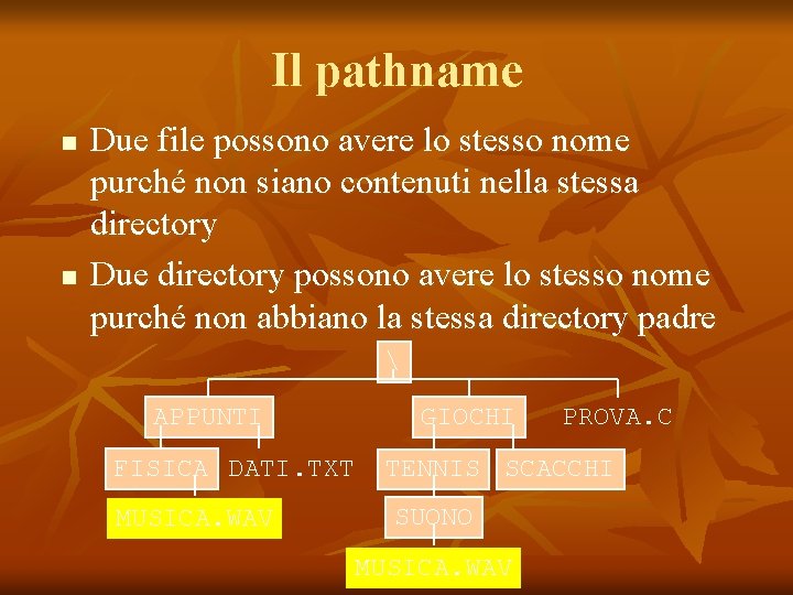 Il pathname n n Due file possono avere lo stesso nome purché non siano