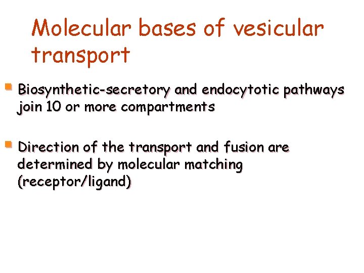 Molecular bases of vesicular transport § Biosynthetic-secretory and endocytotic pathways join 10 or more