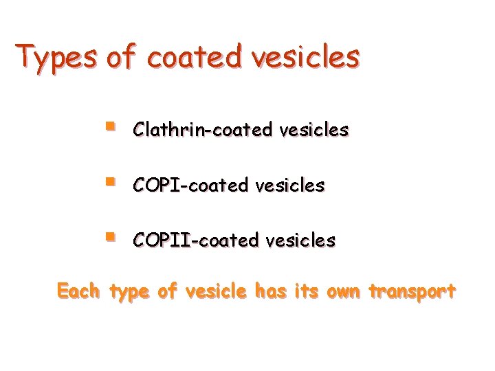 Types of coated vesicles § Clathrin-coated vesicles § COPII-coated vesicles Each type of vesicle