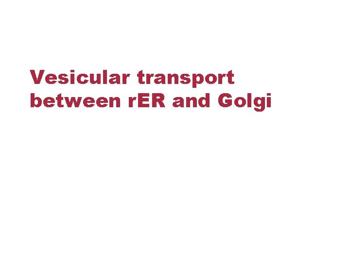Vesicular transport between r. ER and Golgi 