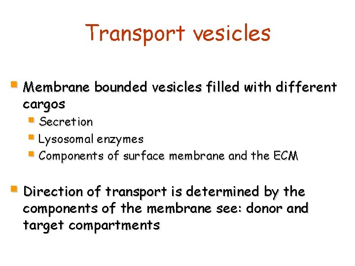 Transport vesicles § Membrane bounded vesicles filled with different cargos § Secretion § Lysosomal
