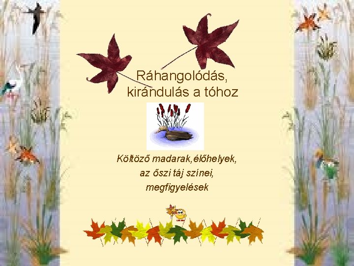Ráhangolódás, kirándulás a tóhoz Költöző madarak, élőhelyek, az őszi táj színei, megfigyelések Ráhangolódás, kirándulás a tóhoz Költöző madarak, élőhelyek, az őszi táj színei, megfigyelések