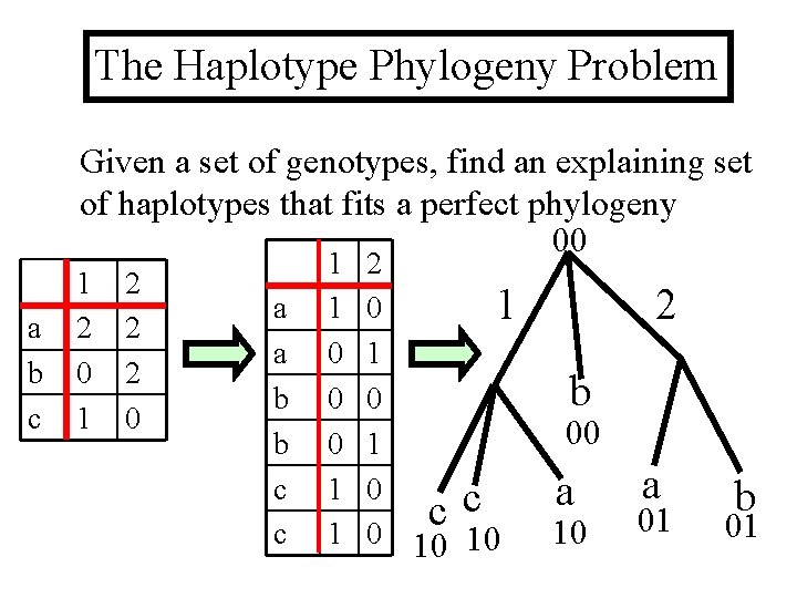 The Haplotype Phylogeny Problem Given a set of genotypes, find an explaining set of