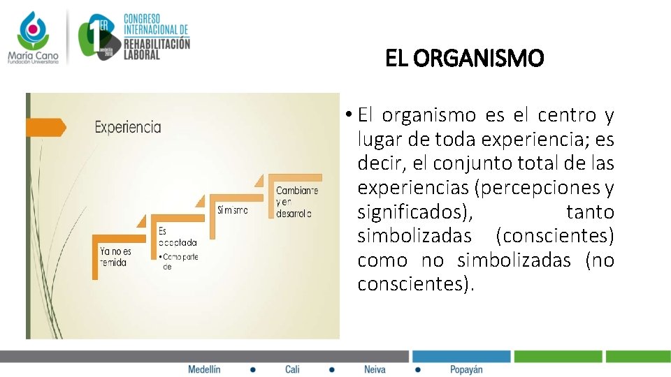  EL ORGANISMO • El organismo es el centro y lugar de toda experiencia;