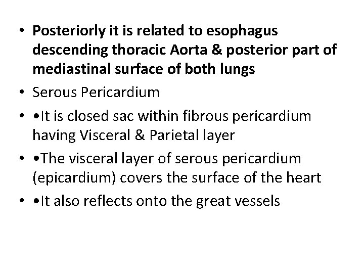  • Posteriorly it is related to esophagus descending thoracic Aorta & posterior part