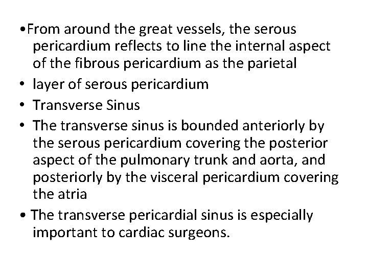  • From around the great vessels, the serous pericardium reflects to line the