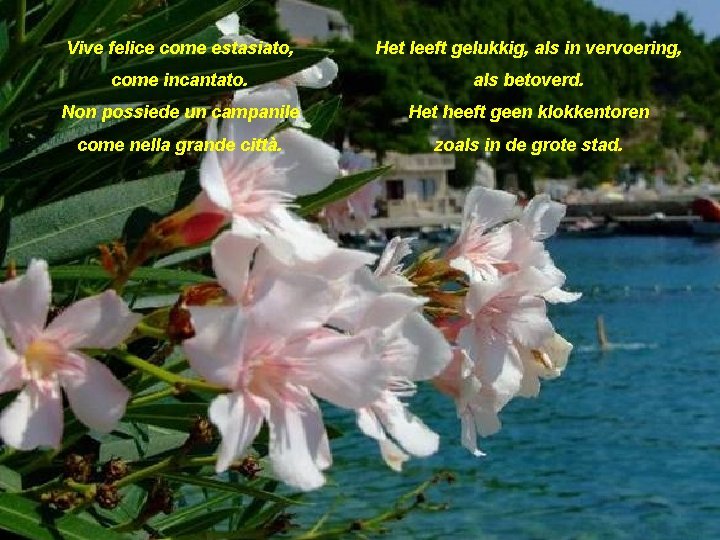 Vive felice come estasiato, Het leeft gelukkig, als in vervoering, come incantato. als betoverd.