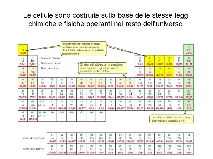 Le cellule sono costruite sulla base delle stesse leggi chimiche e fisiche operanti nel