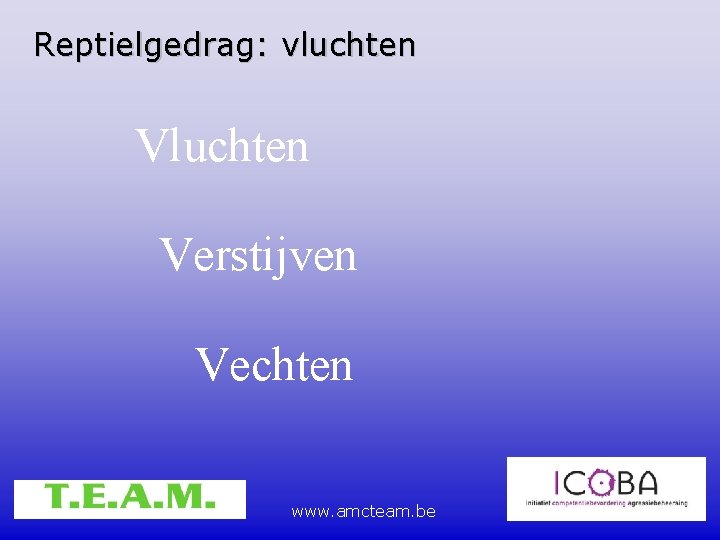 Reptielgedrag: vluchten Verstijven Vechten www. amcteam. be 
