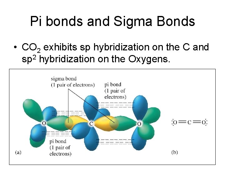 Pi bonds and Sigma Bonds • CO 2 exhibits sp hybridization on the C Pi bonds and Sigma Bonds • CO 2 exhibits sp hybridization on the C
