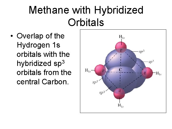 Methane with Hybridized Orbitals • Overlap of the Hydrogen 1 s orbitals with the Methane with Hybridized Orbitals • Overlap of the Hydrogen 1 s orbitals with the