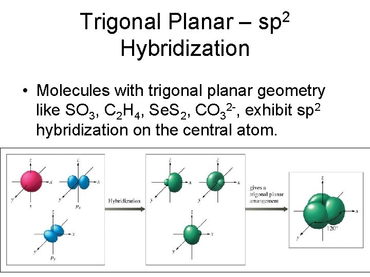 Trigonal Planar – Hybridization 2 sp • Molecules with trigonal planar geometry like SO Trigonal Planar – Hybridization 2 sp • Molecules with trigonal planar geometry like SO