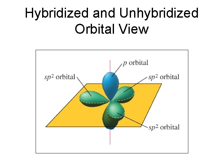 Hybridized and Unhybridized Orbital View Hybridized and Unhybridized Orbital View