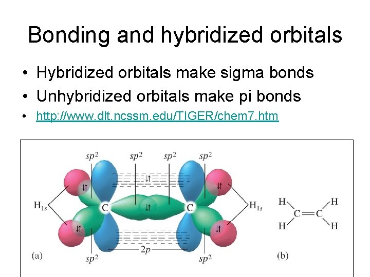 Bonding and hybridized orbitals • Hybridized orbitals make sigma bonds • Unhybridized orbitals make Bonding and hybridized orbitals • Hybridized orbitals make sigma bonds • Unhybridized orbitals make