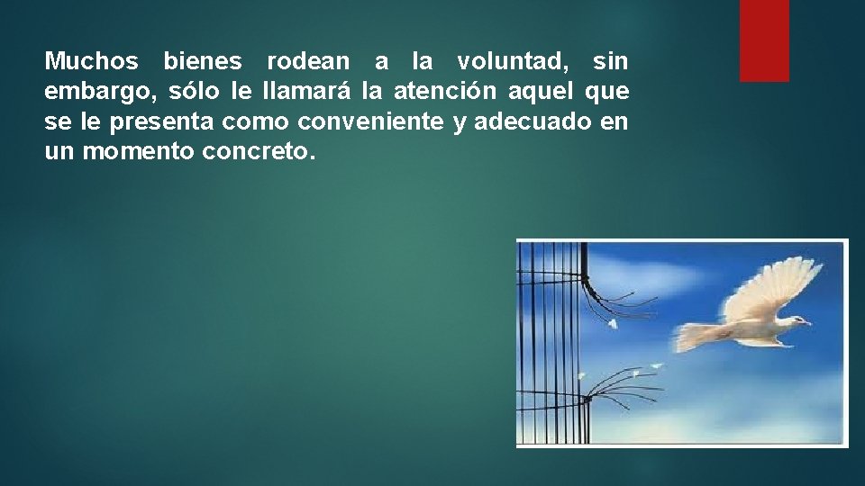 Muchos bienes rodean a la voluntad, sin embargo, sólo le llamará la atención aquel