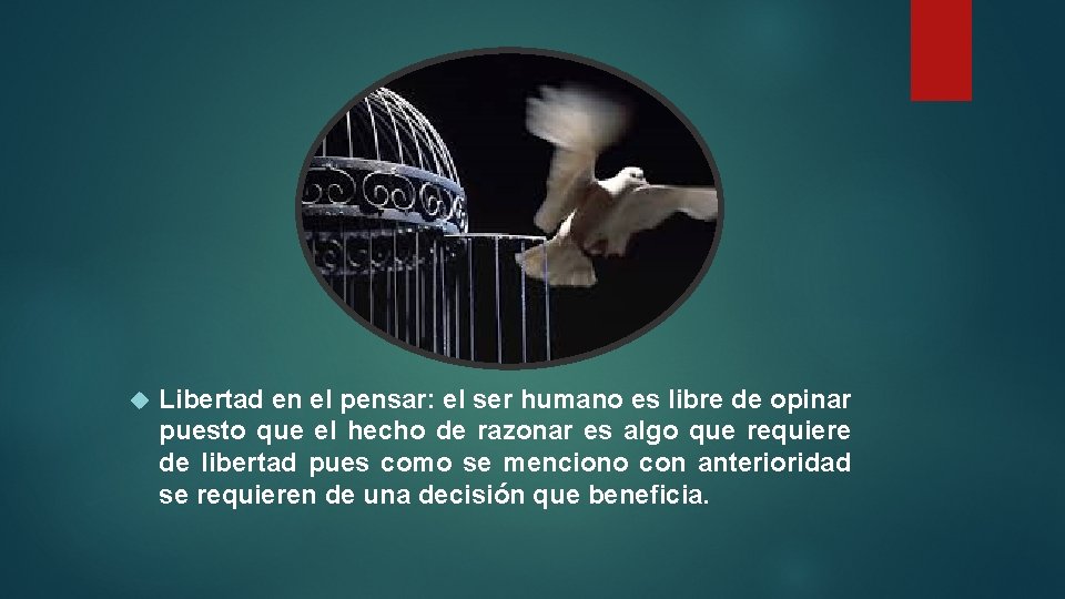  Libertad en el pensar: el ser humano es libre de opinar puesto que