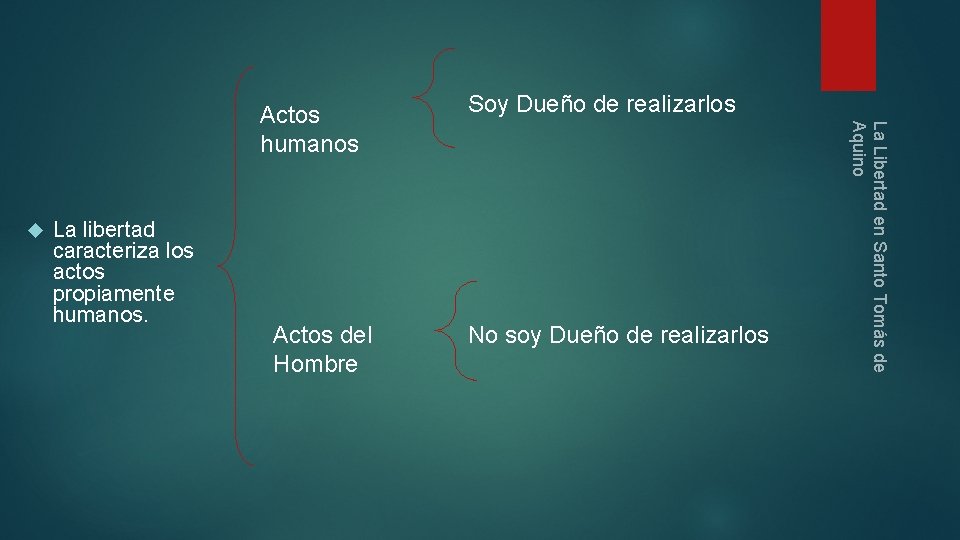  La libertad caracteriza los actos propiamente humanos. Actos del Hombre Soy Dueño de