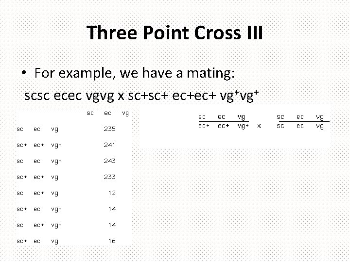 Three Point Cross III • For example, we have a mating: scsc ecec vgvg