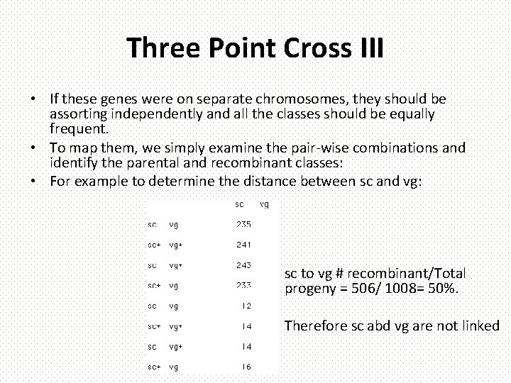 Three Point Cross III • If these genes were on separate chromosomes, they should