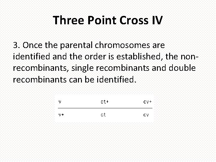 Three Point Cross IV 3. Once the parental chromosomes are identified and the order