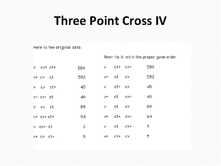 Three Point Cross IV 