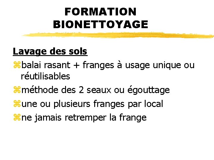 FORMATION BIONETTOYAGE Lavage des sols zbalai rasant + franges à usage unique ou réutilisables