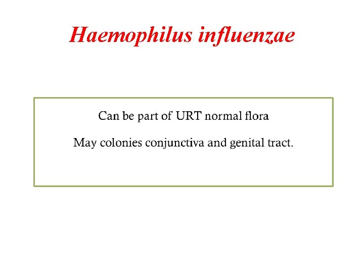 Haemophilus influenzae Haemophilus influenzae
