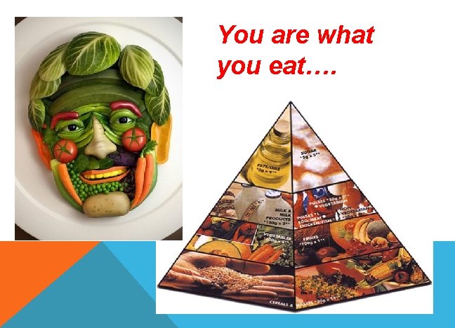 You are what you eat…. 