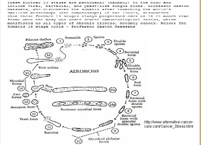 http: //www. alternative-cancercare. com/Cancer_Stress. html 