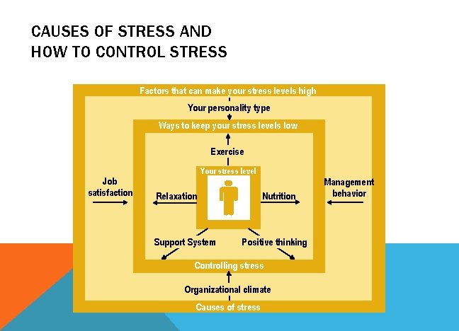 CAUSES OF STRESS AND HOW TO CONTROL STRESS Factors that can make your stress
