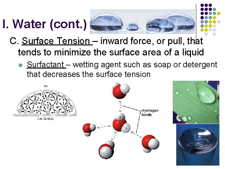I. Water (cont. ) C. Surface Tension – inward force, or pull, that tends