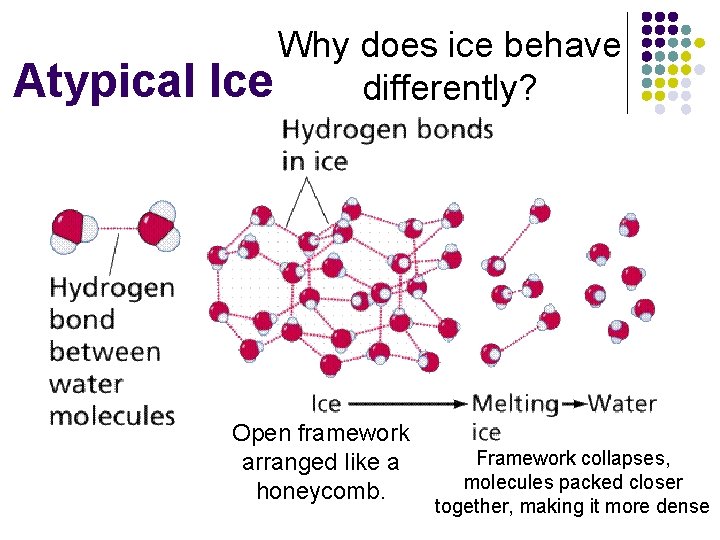 Atypical Why does ice behave Ice differently? Open framework arranged like a honeycomb. Framework